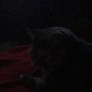 Meet your Posher, Randy